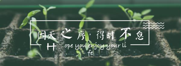 紫穗槐小苗价格（园林篇）
