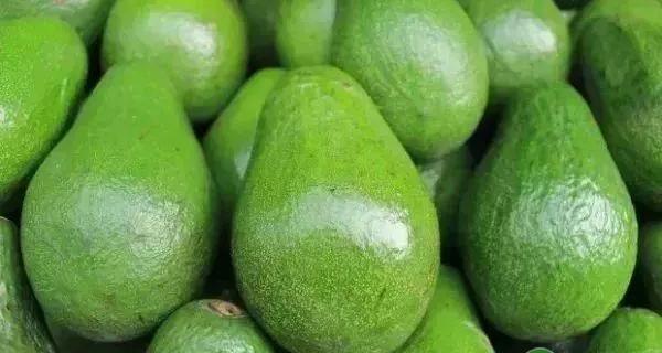 牛油果价格多少钱一斤（2020年鳄梨价格多少钱一斤）