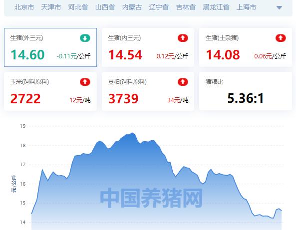 全国生猪价格今日最新（全国生猪价格涨跌表）