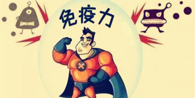 白蛋白价格（提高免疫力）
