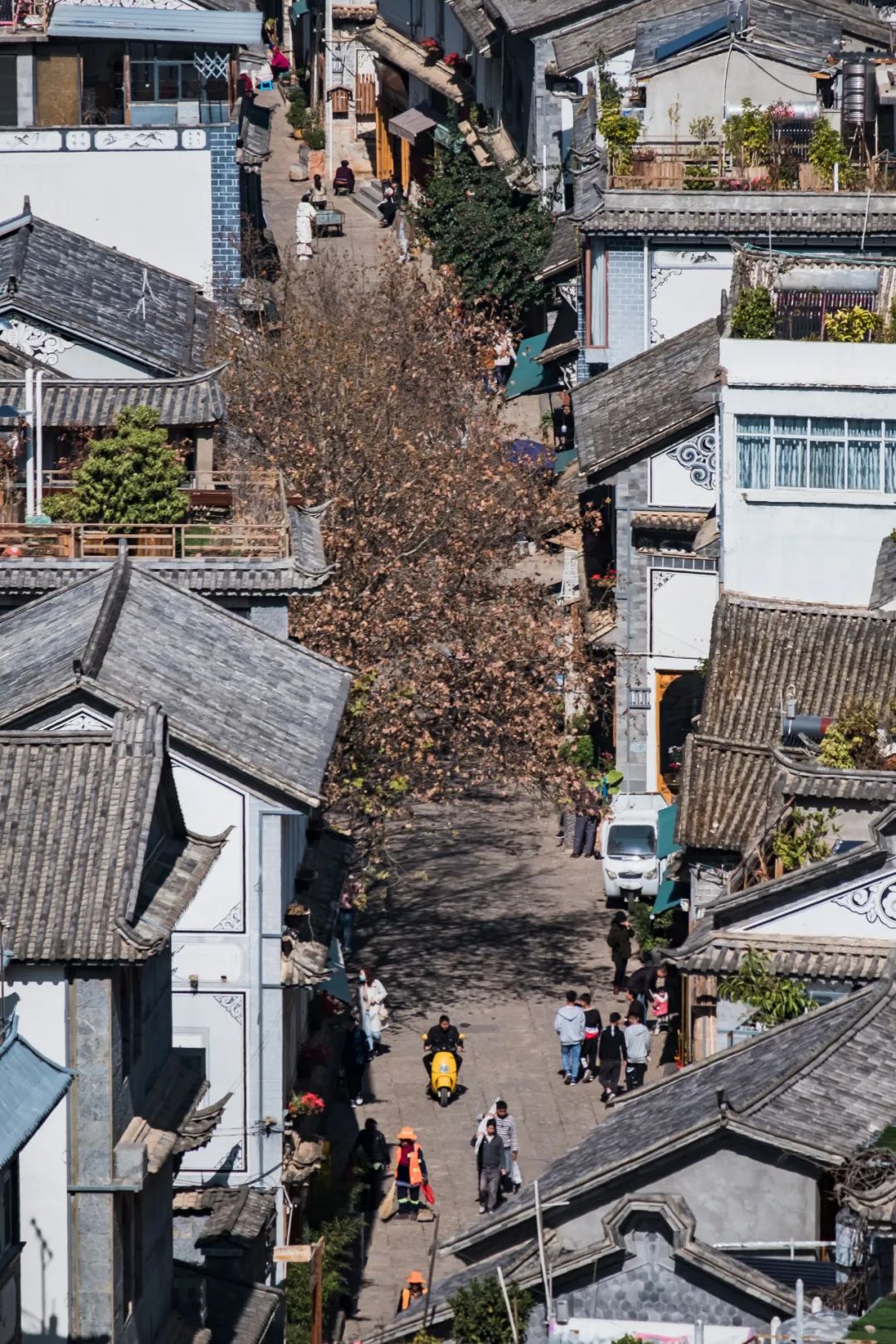 灯具图片和价格（你可以上其他任意平台比价）
