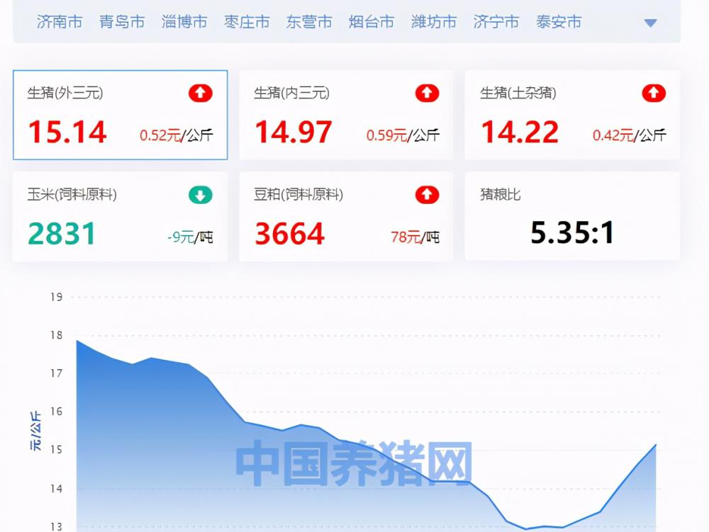 山东生猪价格今日猪价最新（山东省生猪价格涨跌表）