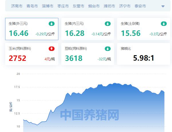 山东生猪价格今日猪价最新（2021年12月28日山东省猪价行情）