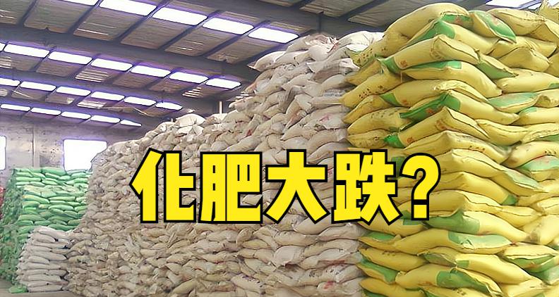 2017年尿素的价格预测（尿素）