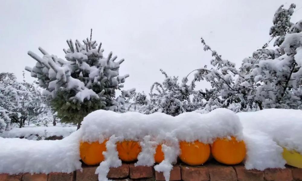 定西人流价格优等欧亚（甘肃平凉第一场雪惊艳了朋友圈）