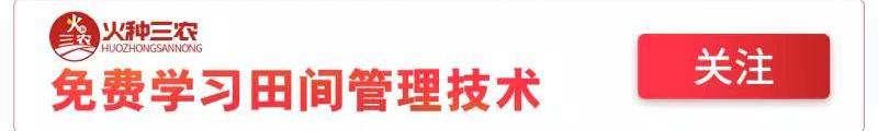 橙子价格（一周桔价）