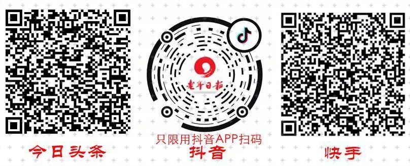 油博士榨油机价格和图片（任何东西都追求）
