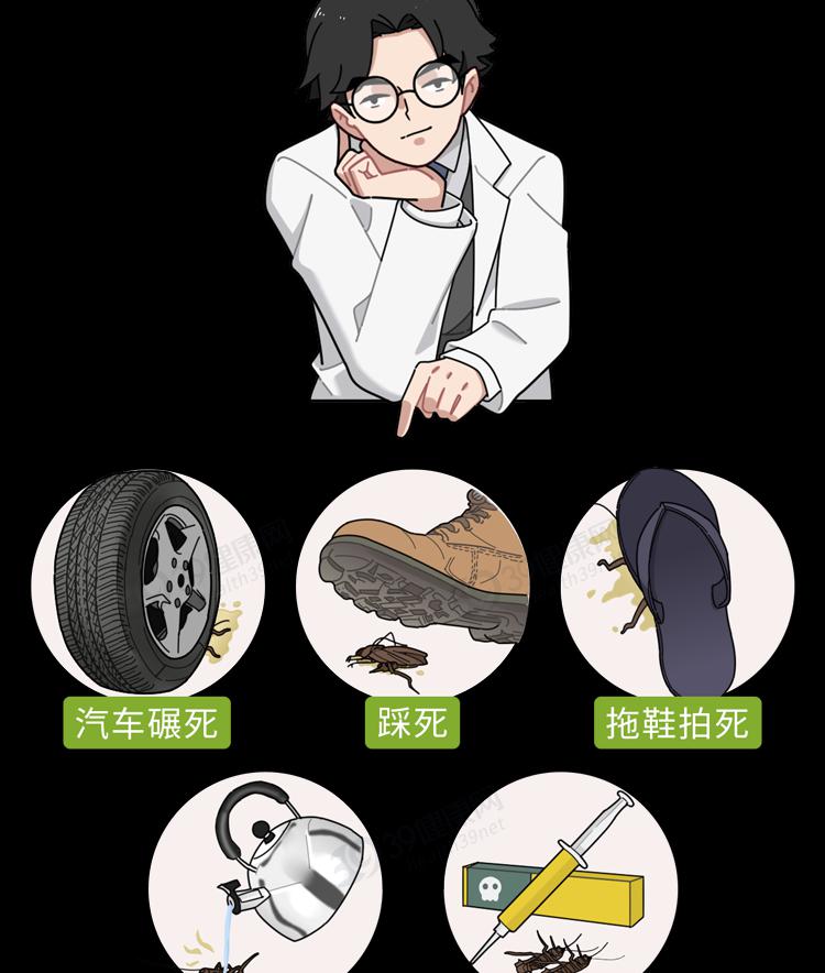 甲壳素面膜价格表（中国专家从蟑螂中找到治病良方）