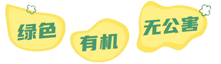 油博士榨油机价格和图片（任何东西都追求）
