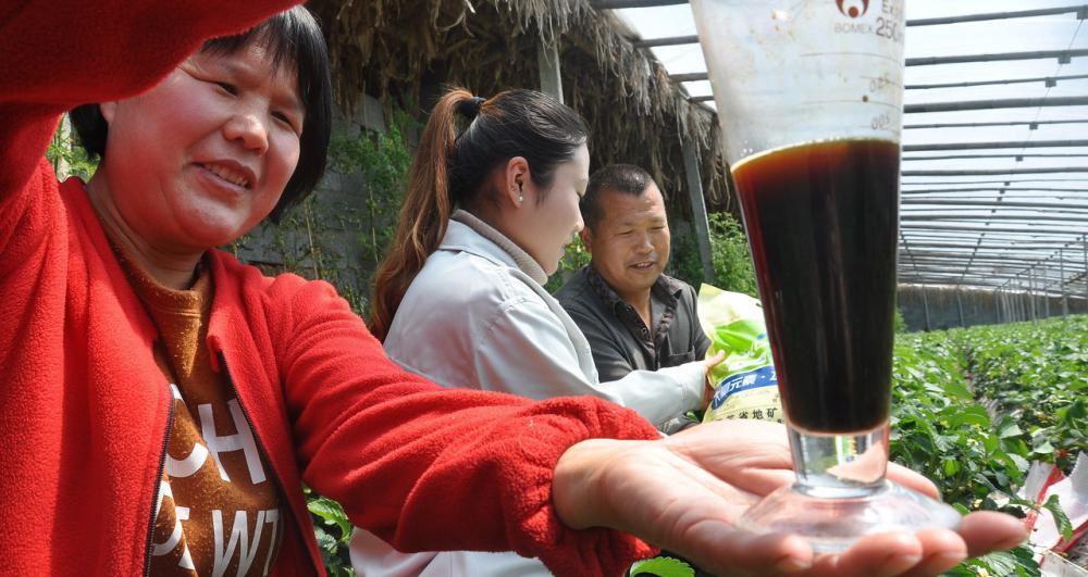 水溶肥价格（水溶肥效果好）