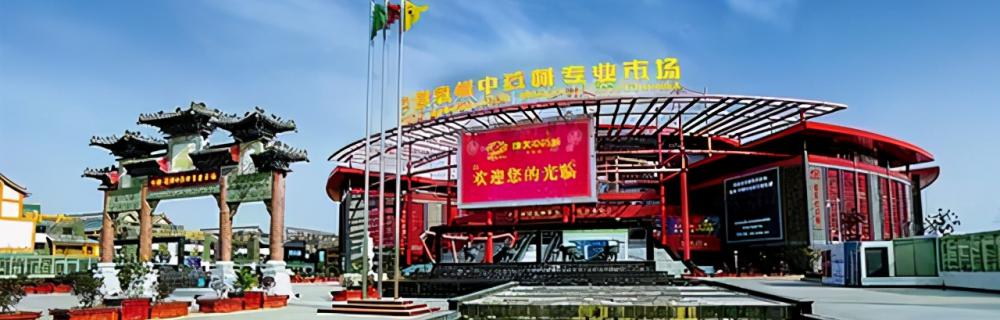 板蓝根价格（6月16日中药材市场快讯）