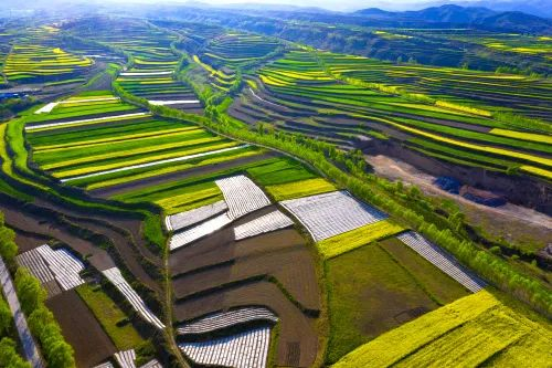 同心t -209手机价格（银川到宁夏各地的公里数）