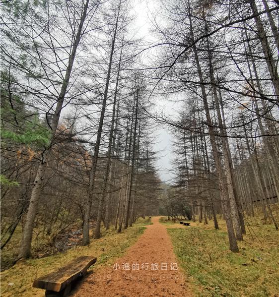 黄山情人谷门票价格（陕南秦岭深处有条情人谷）