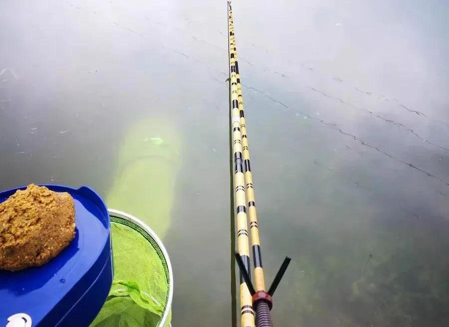 鱘魚竿圖片價格大全（如果買魚竿僅僅是為了）