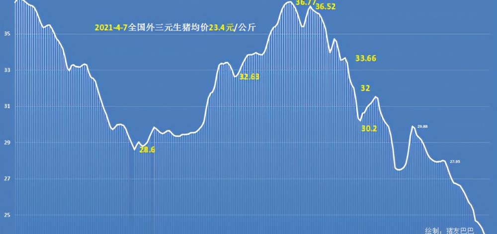 2017牛价格行情（猪肉大跌30）