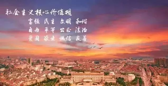 小型油锯价格（品质永康27）