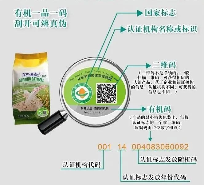 油博士榨油机价格和图片（任何东西都追求）