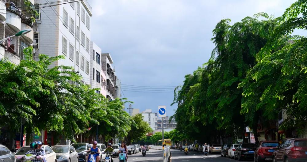 资生堂机场免税店价格（现场探店）