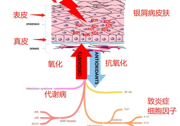 可善挺价格（银屑病）