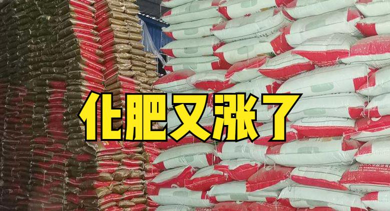 磷矿石价格（尿素）