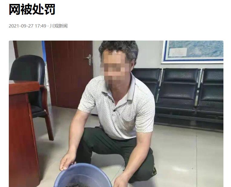 地龙价格2017最新价格（电蚯蚓）