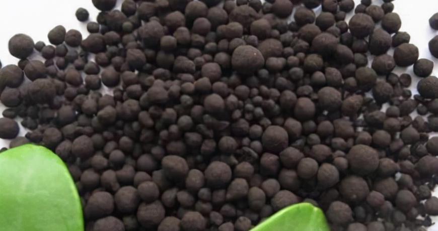 微生物菌剂40公斤价格（菌肥是个）
