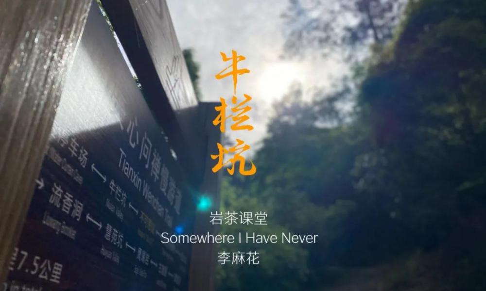 茶叶价格一览表（从几十块到上万块）