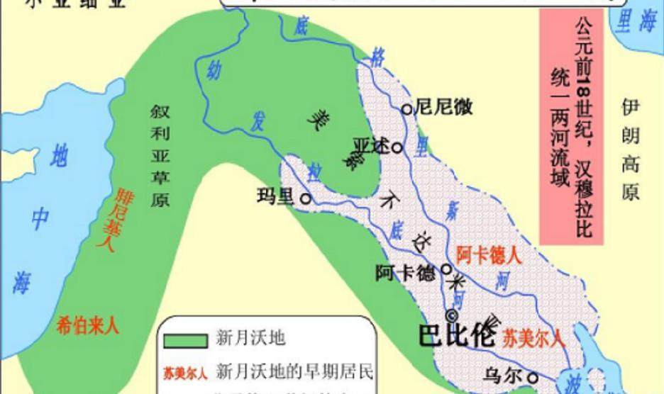 海棗價格（沙漠綠金）