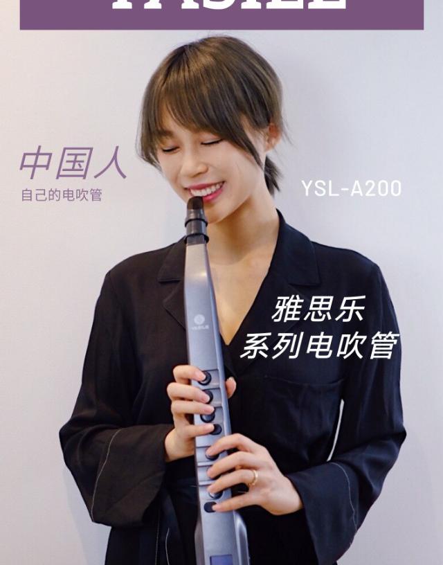 电吹管价格及图片（雅思乐）