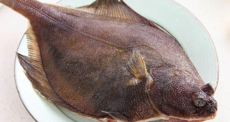 鰈魚價格多少錢一斤（一斤就能賣到好幾百的魚）