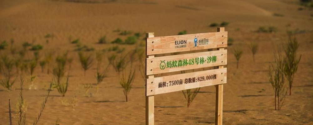 沙棘油价格（国内论斤卖没人要）