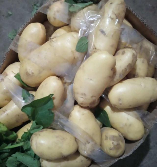 徐州蔬菜批发最新价格（江苏徐州东高农贸市场4月20号部分果蔬批发价格）