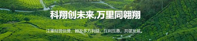 拖拉机的价格（东方红两款2004拖拉机）