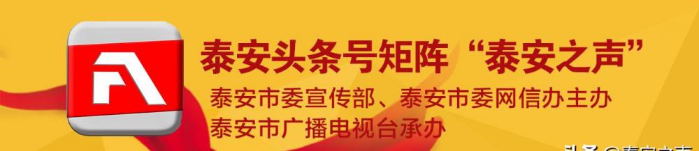 山东肥城精制盐价格（确保质量安全）
