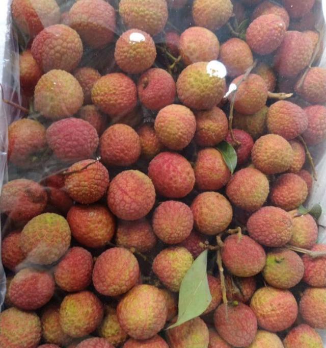 徐州蔬菜批发最新价格（江苏徐州东高农贸批发市场6月5号部分果蔬批发价格）
