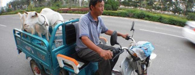 摩托车物流托运价格表（一辆8000元左右的电动三轮车）