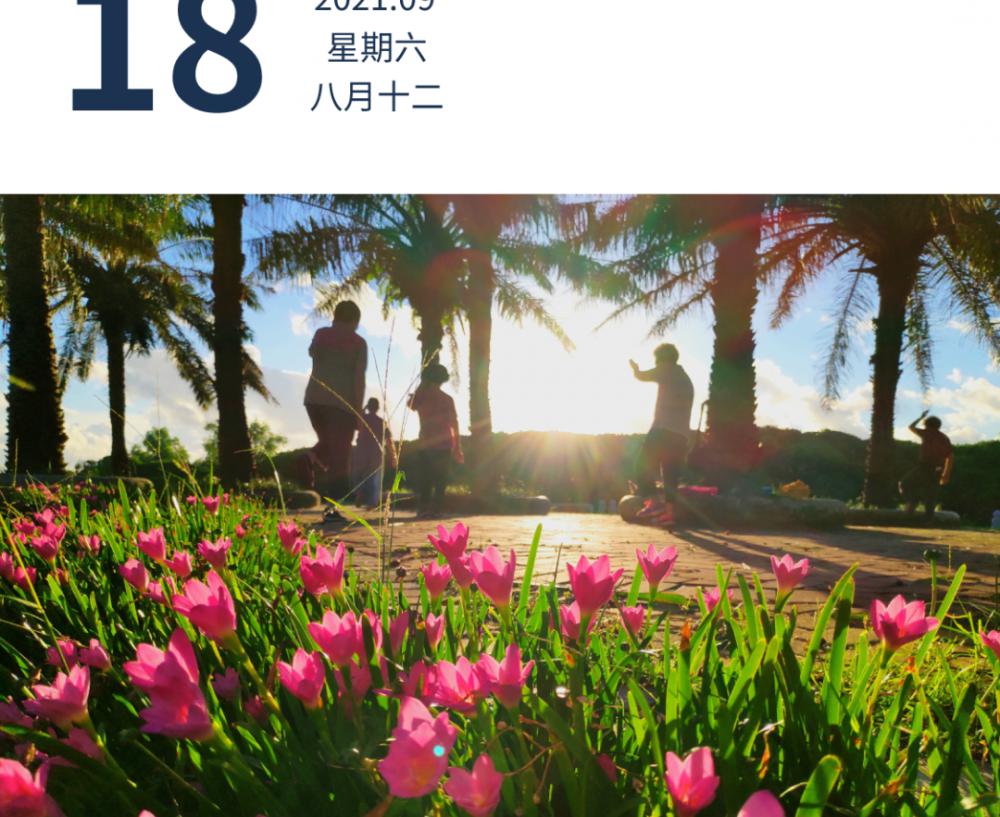 足银价格（广东核酸单样本检测均价降至58元）