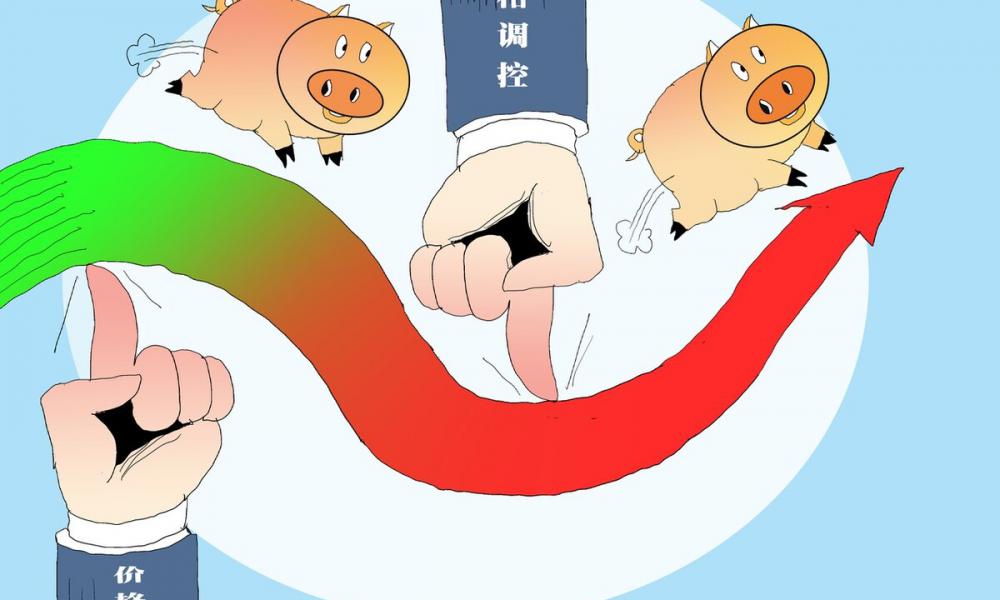 全国鸡蛋价格最新行情走势（生猪）