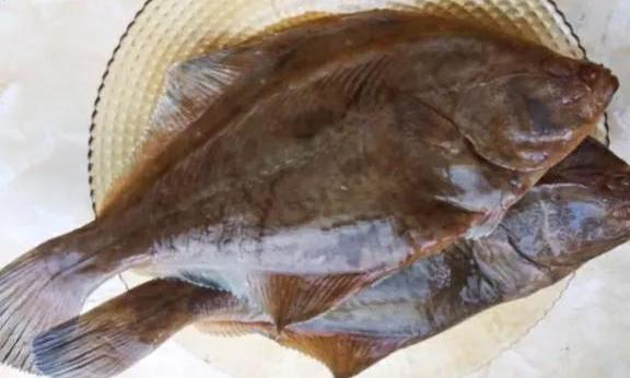 鰈魚價格多少錢一斤（同是比目魚）