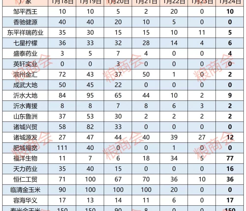 小麥價格行情（1月24日玉米）