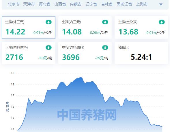 今日全国生猪价格行情（全国生猪价格涨跌表）