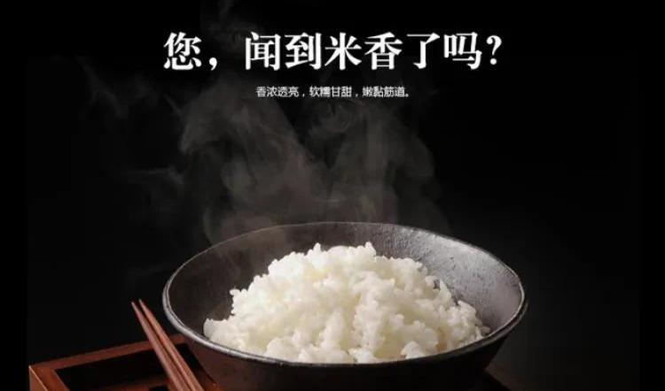 五常大米价格（买五常大米）