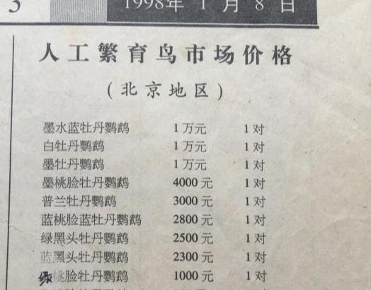 虎皮鹦鹉价格（98年一对牡丹鹦鹉一万）