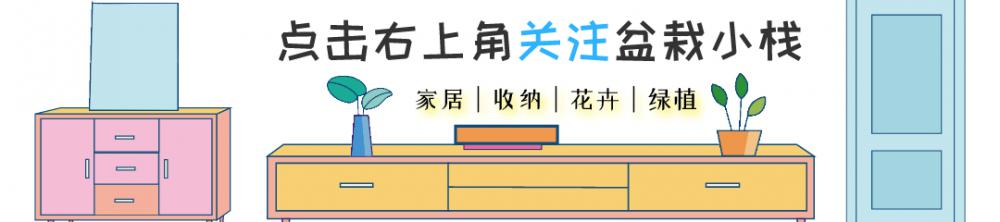 扫地机器人价格(室内)