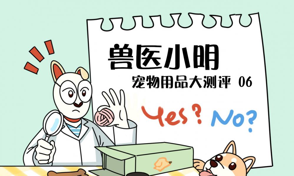 牙结石洗牙价格（狗狗得了牙结石）