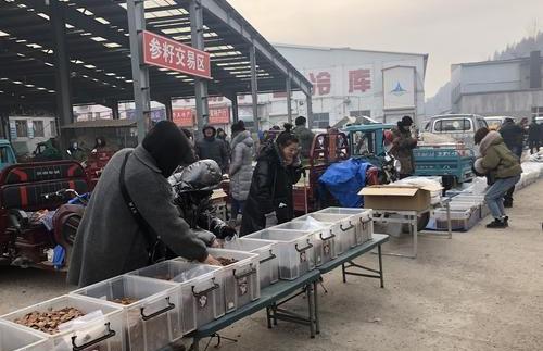 鹿茸片多少钱一克（走进抚松万良人参市场感受新鲜事）