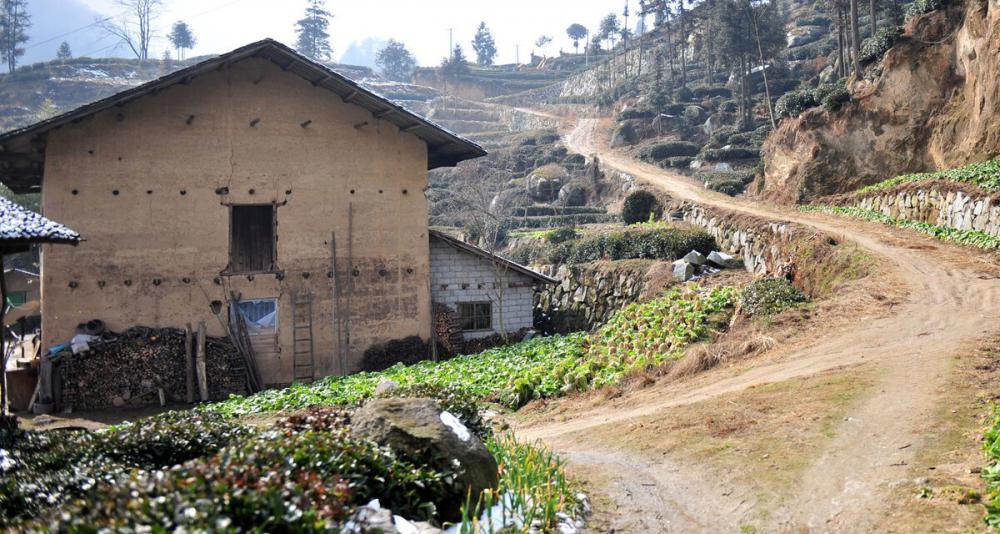 农村维房改造多少钱（农村空心房几年不住会拆除）