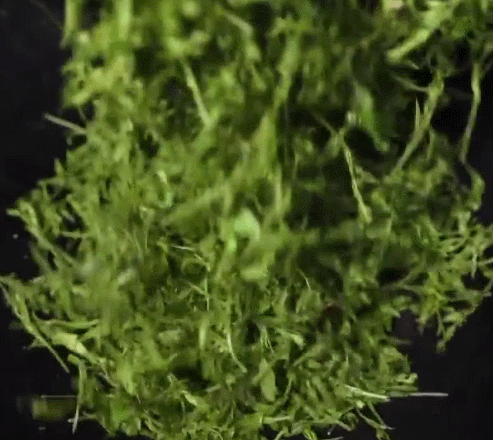茅岩莓茶多少钱一斤（注意）