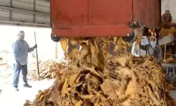 黄金叶天叶多少钱一包（65元一包的中华香烟）