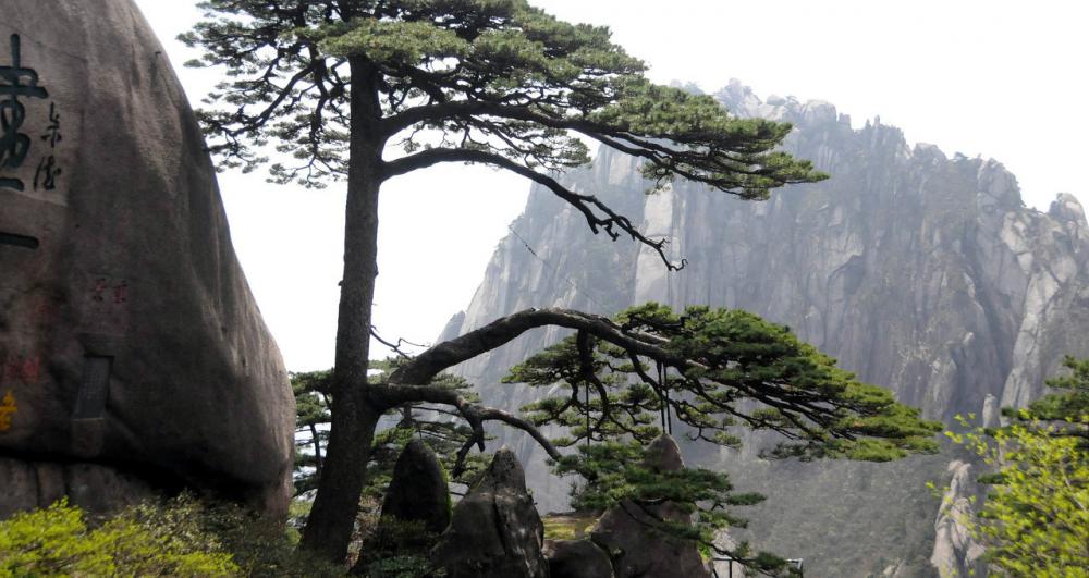 黄山风景区门票多少钱（安徽黄山旅游景区门票价格一览）